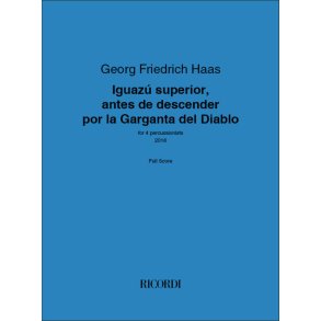 Iguazú superior : antes de descender por la Garganta del Diablo