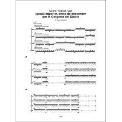 Iguaz&uacute; superior : antes de descender por la Garganta del Diablo