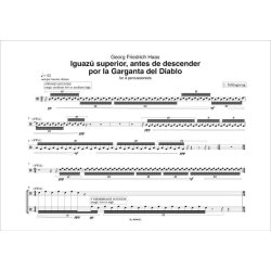 Iguaz&uacute; superior : antes de descender por la Garganta del Diablo