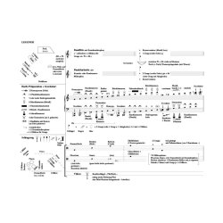 Haus : f&uuml;r Bassfl&ouml;te, Bassklarinette, pr&auml;parierte Harfe,Schlagzeug, Verst&auml;rkung und (live-)Video