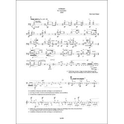 Irrfelsen : f&uuml;r Violoncello