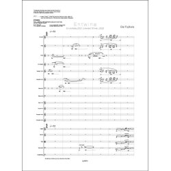 Entwine : for Orchestra