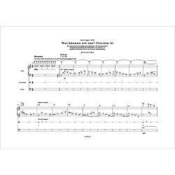 Was k&ouml;nnen wir tun? : F&uuml;r Orgel mit Setzeranlage und optionaler Vierteltontastatur