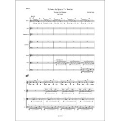 Echoes in Space 2 - Redux : Loops for Werner