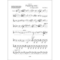 Padong (&#54028;&#46041;) : for haegeum