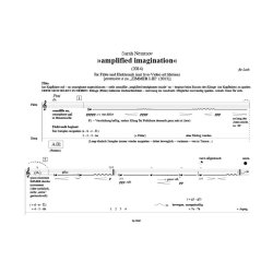 amplified imagination : f&uuml;r Fl&ouml;te und Elektronik (mit live-Video ad libitum) [extension a zu 'ZIMMER I-III' (2013)]