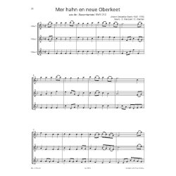 Fl&ouml;te spielen Trios : Parallel zu FL&Ouml;TE SPIELEN Band A und B