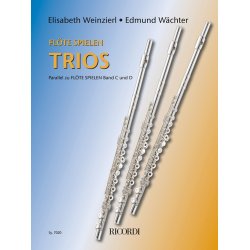 Fl&ouml;te spielen Trios : Parallel zu FL&Ouml;TE SPIELEN Band C und D