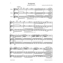 Fl&ouml;te spielen Trios : Parallel zu FL&Ouml;TE SPIELEN Band C und D