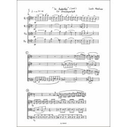 Im Andenken : f&uuml;r Streichquartett (2007)