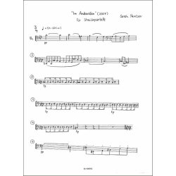 Im Andenken : f&uuml;r Streichquartett (2007)