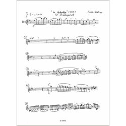 Im Andenken : f&uuml;r Streichquartett (2007)