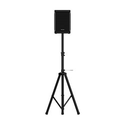 Thornton Auriga 1 aktiv hjttaler