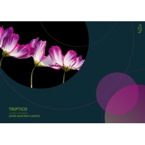 Tríptico (3 preludios para tres percusionistas)