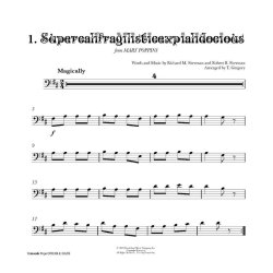 Vamoosh Pops: Double Bass