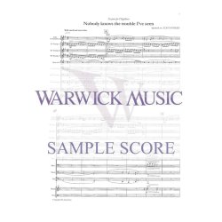 Nobody Knows the Trouble I've Seen