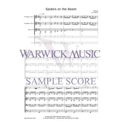 Spiders on the Beach