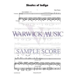 Shades of Indigo