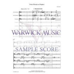 From Princip to Poppies