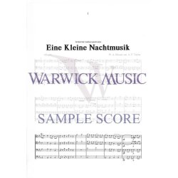 Eine Kleine Nachtmusik