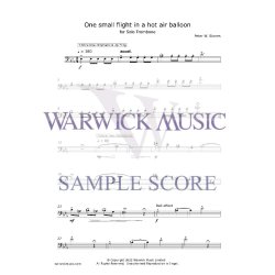 One Small Flight in a Hot Air Balloon