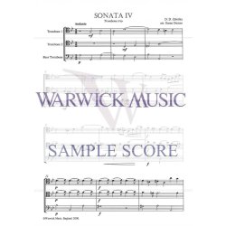 Sonata IV