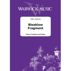 Bleaklow Fragment
