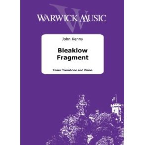 Bleaklow Fragment
