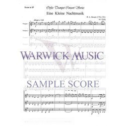 Eine Kleine Nachtmusik