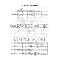 The Trainee Bullfighter