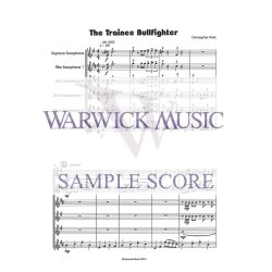 The Trainee Bullfighter