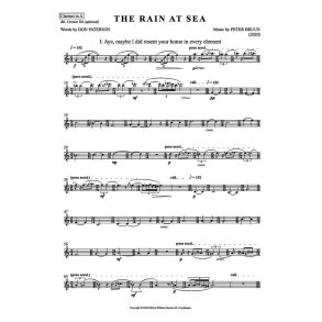 The Rain at Sea (Parts)