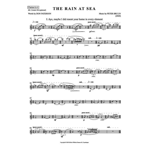The Rain at Sea (Parts)