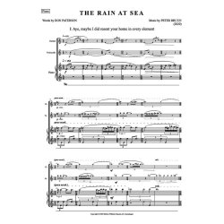 The Rain at Sea (Parts)