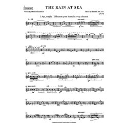 The Rain at Sea (Parts)