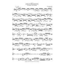 Stolen Fragments