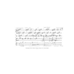 Sommer Intermezzi Op.65