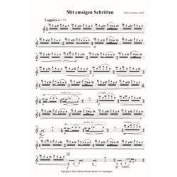 Mit Emsigen Schritten