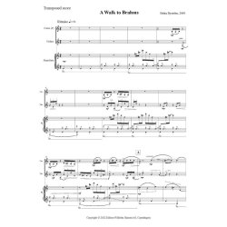 A Walk To Brahms