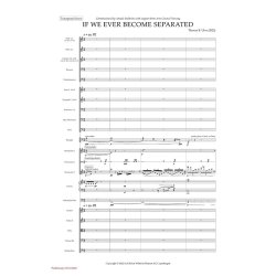 If We Ever Become Separated