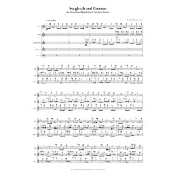 Songbirds And Cannons : fl(Gfl.pic).ob(ca).cl(Bbcl.).hn(bd).bsn(bd)