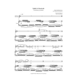 Fjalli&eth;, I&eth; Blunka&eth;i (The Mountain Who Blinked) : For Tenor Or Soprano Voice And Piano