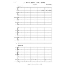 A Walk To Brahms Violin Concerto