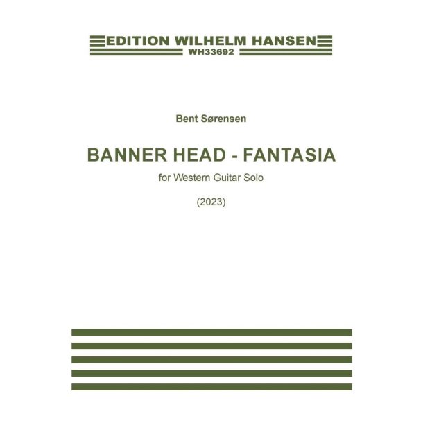 Banner Head - Fantasia : Western Guitar