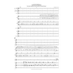 R&oacute;san &Iacute; Vetrarlj&oacute;si (Die Rose Im Winterlicht)