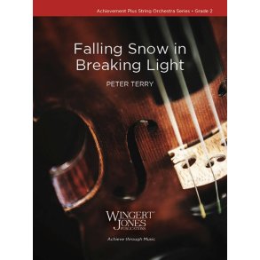 Falling Snow in Breaking Light