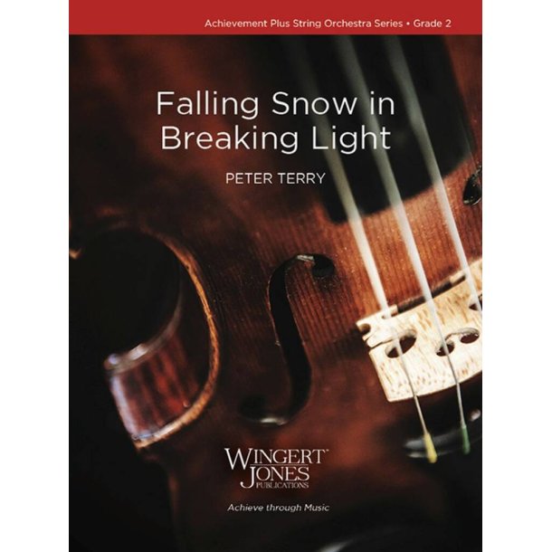 Falling Snow in Breaking Light