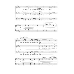 Le Colibri : The Hummingbird