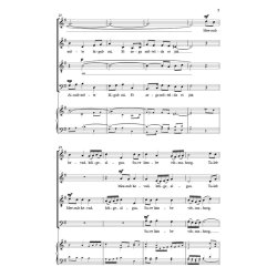 Kodutee : Journey Home