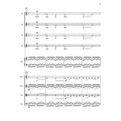 Days of Beauty : Full Score and Instrumental Parts